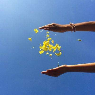 yaboapp下载手机版