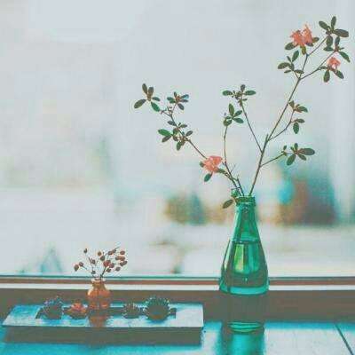 打鱼下载手机app下载截图