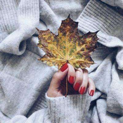 722cc彩票下载手机版