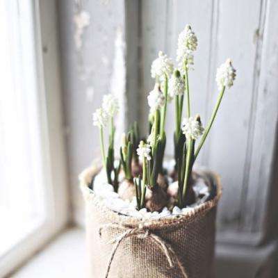 北单足球比赛结果sp值