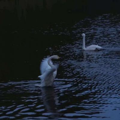 星空下载站官网手机app下载