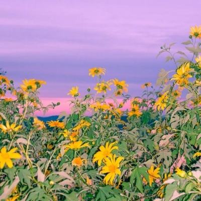 金年会app官方下载