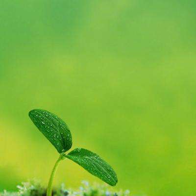 澳门精准正版资料大全下载手机版