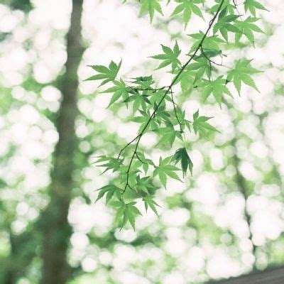 爱游戏appapp下载