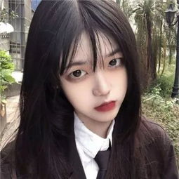 澳门4949资料免费大全