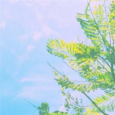 江南app下载手机版截图