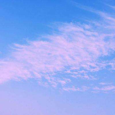 雷竞技app官方版下载