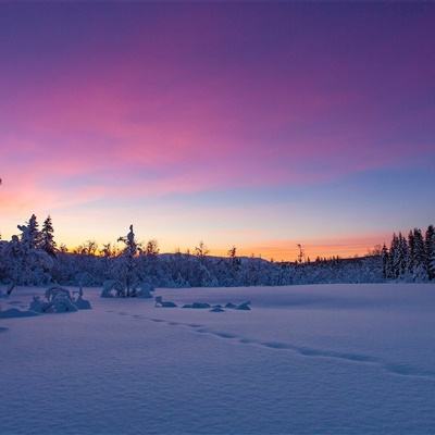 IM体育官网登录入口