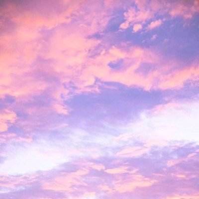 管家婆一码一肖资料手机app下载