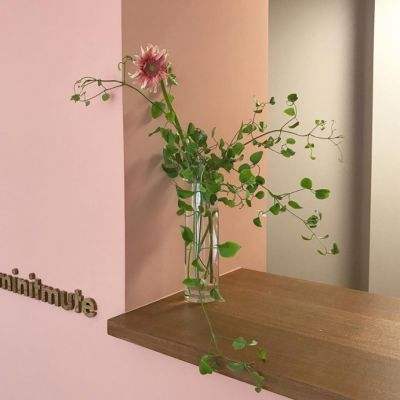 炸金花单机游戏手机app下载截图