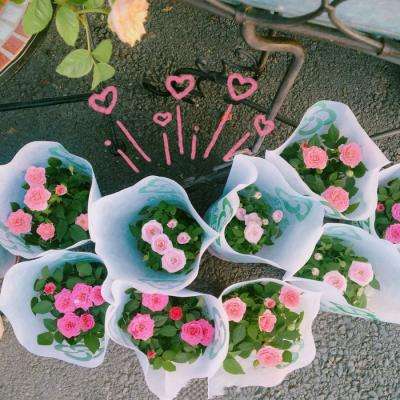 365平台下载下载手机版截图