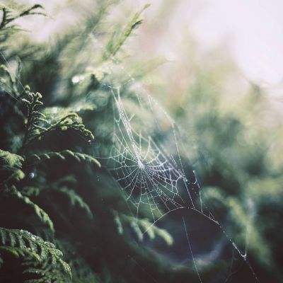 凤凰彩票下载中心