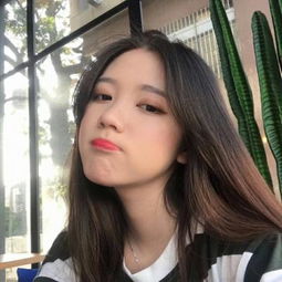 新澳门游戏网站入口下载手机版