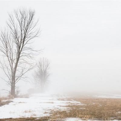 必博app下载地址