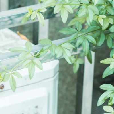 mg娱乐电子游戏官网