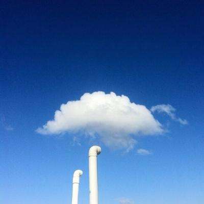 皇冠体官方网站app