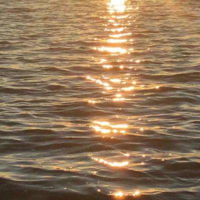 半岛官方下载入口