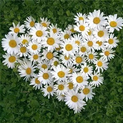 半岛app下载入口