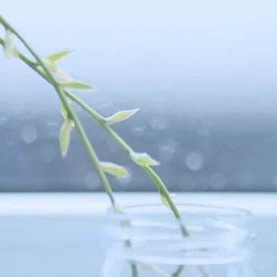 云开·全站(kaiyun)