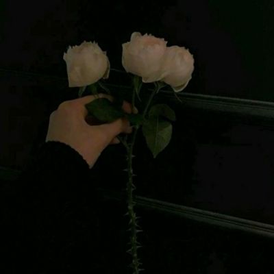 AG九游会手机app下载