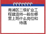 青浦区二级矿业工程建造师一般在哪里上班什么岗位和待遇