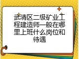 武清区二级矿业工程建造师一般在哪里上班什么岗位和待遇