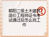 朝阳二级土木建筑造价工程师证书考试通过后怎么找工作