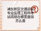 浦东新区交通运输专业监理工程师考试成绩在哪里查询怎么查