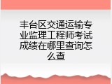 丰台区交通运输专业监理工程师考试成绩在哪里查询怎么查