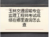 玉林交通运输专业监理工程师考试成绩在哪里查询怎么查
