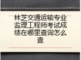 林芝交通运输专业监理工程师考试成绩在哪里查询怎么查