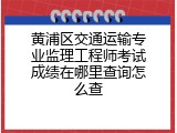 黄浦区交通运输专业监理工程师考试成绩在哪里查询怎么查
