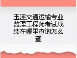 玉溪交通运输专业监理工程师考试成绩在哪里查询怎么查