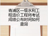 青浦区一级水利工程造价工程师考试成绩公布时间如何查询