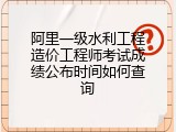 阿里一级水利工程造价工程师考试成绩公布时间如何查询