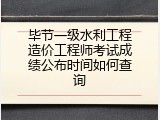毕节一级水利工程造价工程师考试成绩公布时间如何查询