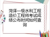 菏泽一级水利工程造价工程师考试成绩公布时间如何查询