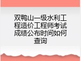 双鸭山一级水利工程造价工程师考试成绩公布时间如何查询