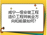 咸宁一级安装工程造价工程师就业方向和前景如何？
