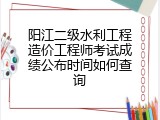 阳江二级水利工程造价工程师考试成绩公布时间如何查询
