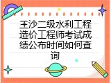 三沙二级水利工程造价工程师考试成绩公布时间如何查询