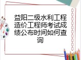 益阳二级水利工程造价工程师考试成绩公布时间如何查询