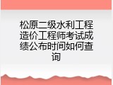 松原二级水利工程造价工程师考试成绩公布时间如何查询