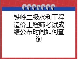 铁岭二级水利工程造价工程师考试成绩公布时间如何查询