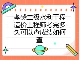 孝感二级水利工程造价工程师考完多久可以查成绩如何查