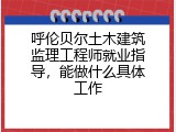 呼伦贝尔土木建筑监理工程师就业指导，能做什么具体工作