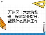 万州区土木建筑监理工程师就业指导，能做什么具体工作