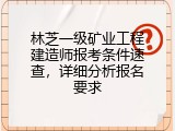 林芝一级矿业工程建造师报考条件速查，详细分析报名要求
