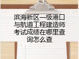 滨海新区一级港口与航道工程建造师考试成绩在哪里查询怎么查