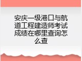 安庆一级港口与航道工程建造师考试成绩在哪里查询怎么查